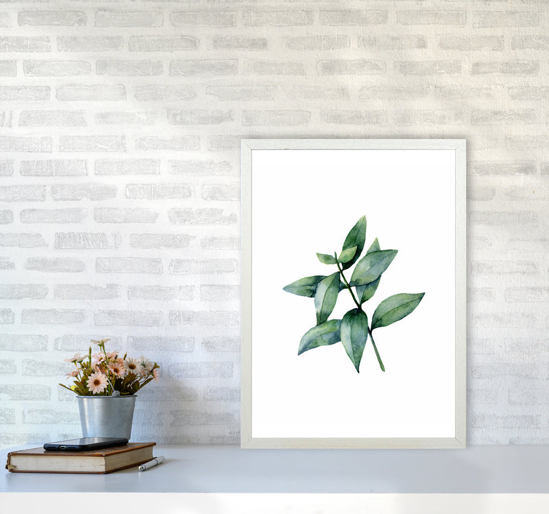 Watercolor Eucalyptus III Art Print by Seven Trees Design A2 Oak Frame