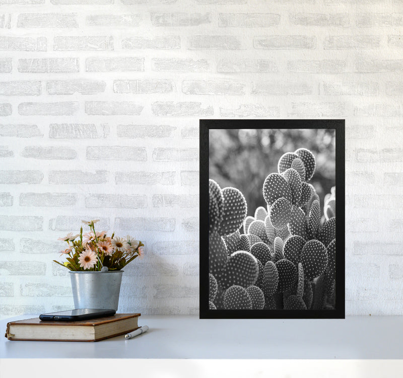 The Cacti Cactus B&W Art Print by Seven Trees Design