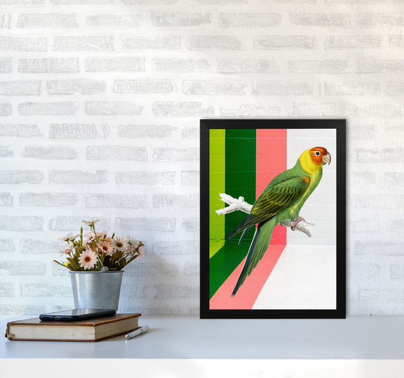 Graffiti Bird Art Print by Seven Trees Design A3 White Frame