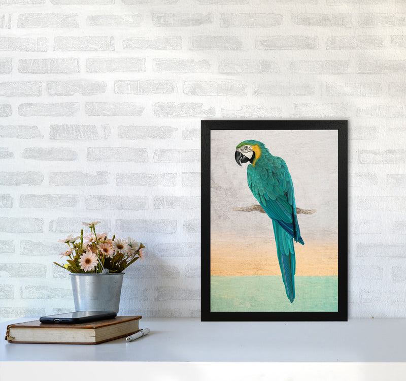 Graffiti Macaw Art Print by Seven Trees Design A3 White Frame