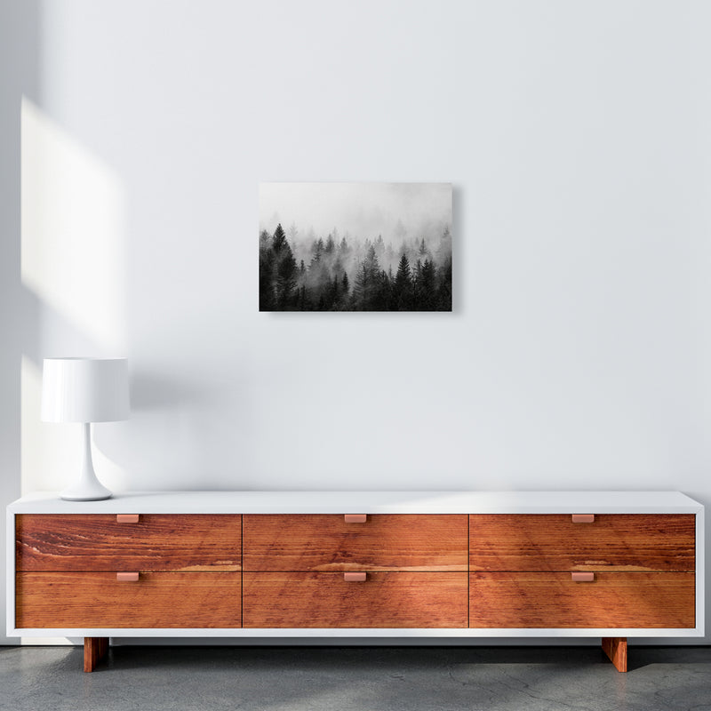 B&W Forest Photography Art Print by Seven Trees Design A3 Canvas