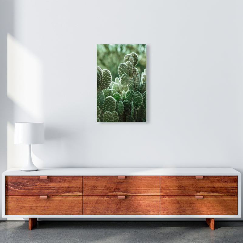 The Cacti Cactus B&W Art Print by Seven Trees Design A3 Canvas