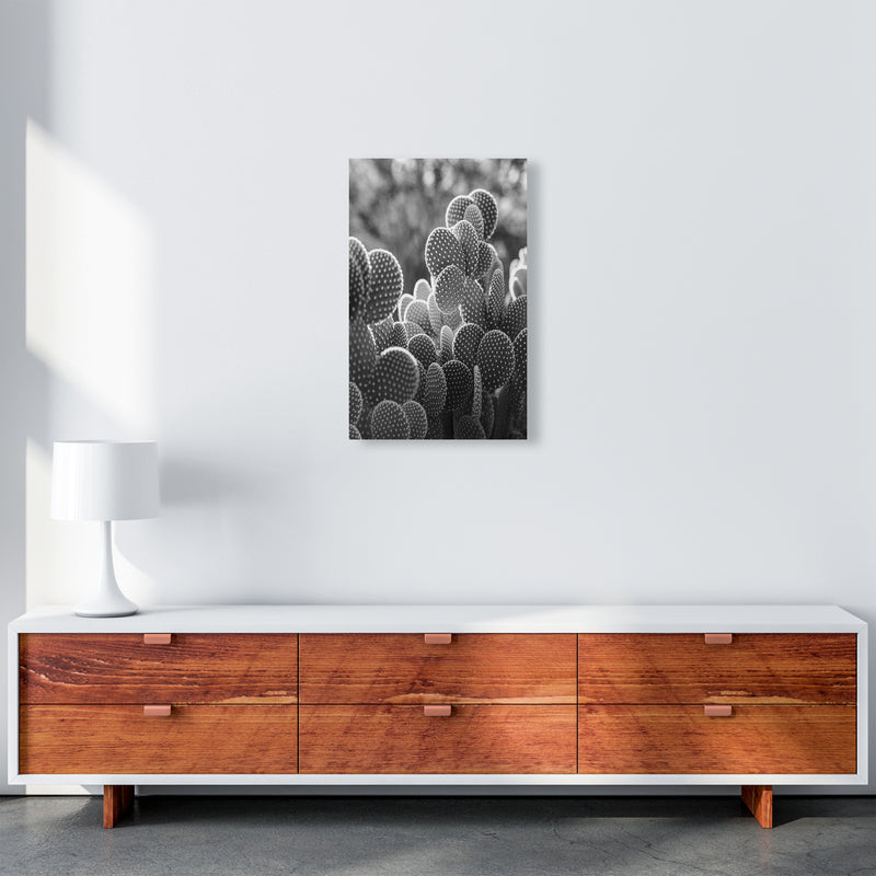 The Cacti Cactus Photography Art Print by Seven Trees Design A3 Canvas