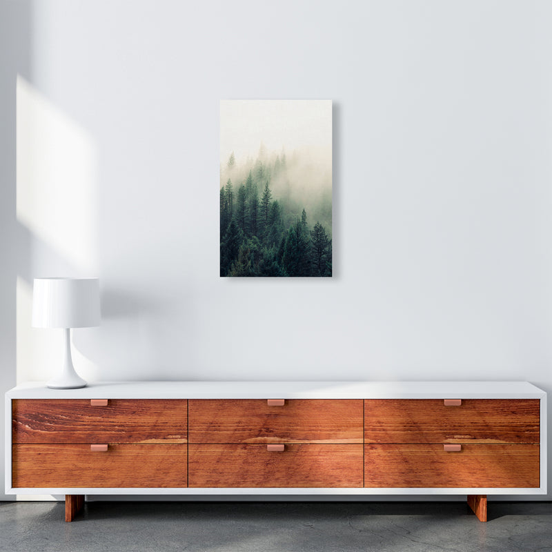 The Fog And The Forest II Photography Art Print by Seven Trees Design A3 Canvas