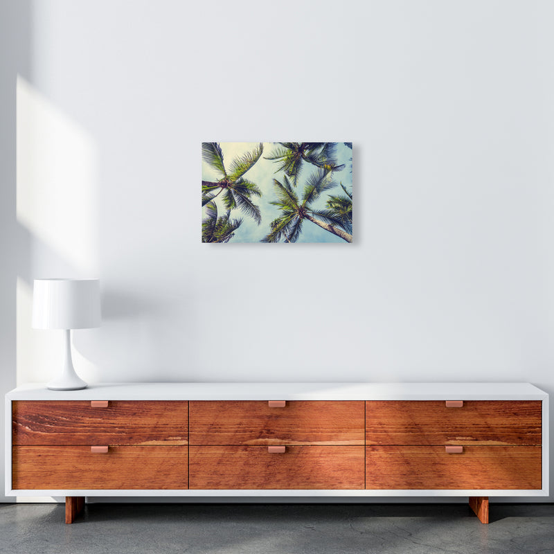 The Palms Photography Art Print by Seven Trees Design A3 Canvas