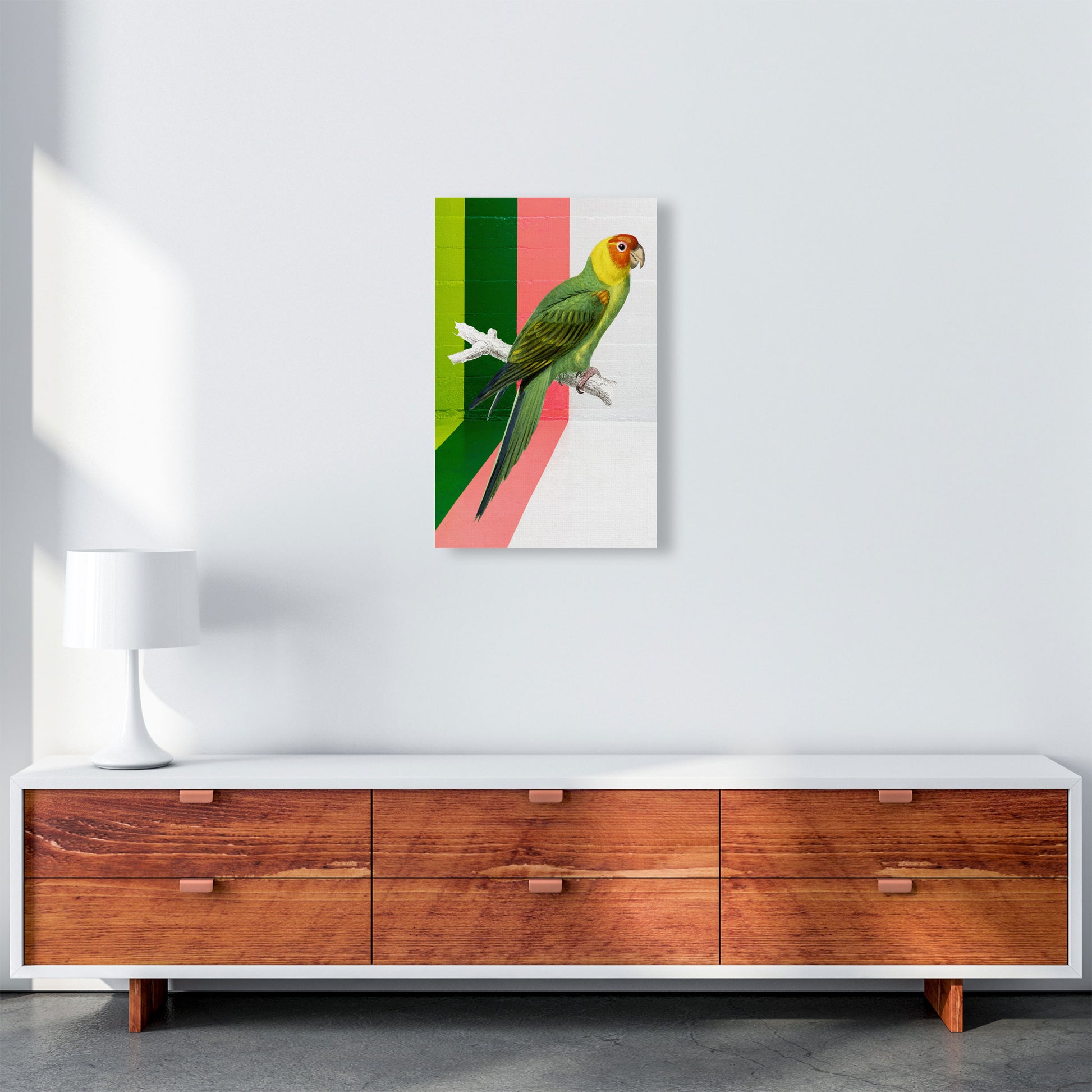 Graffiti Bird Art Print by Seven Trees Design A3 Canvas