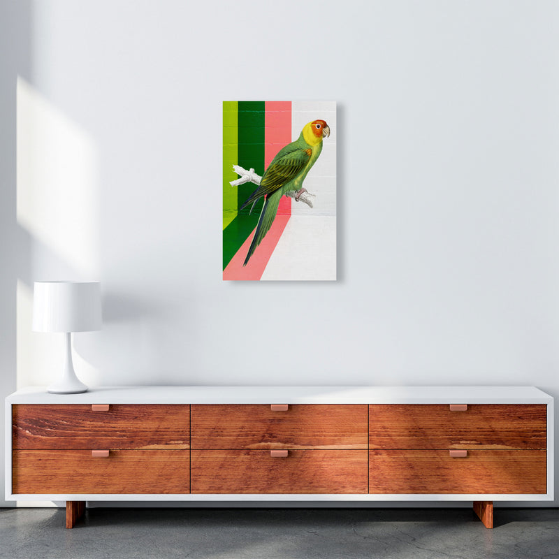Graffiti Bird Art Print by Seven Trees Design A3 Canvas