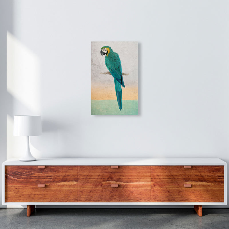Graffiti Macaw Art Print by Seven Trees Design A3 Canvas