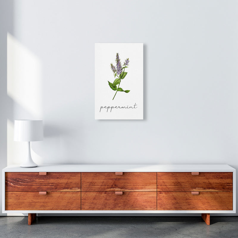 peppermint Art Print by Seven Trees Design A3 Canvas