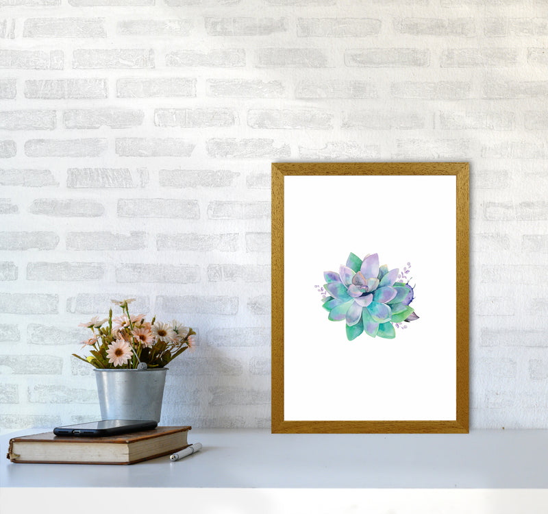 Aqua Succulent Botanical Art Print by Seven Trees Design A3 Print Only