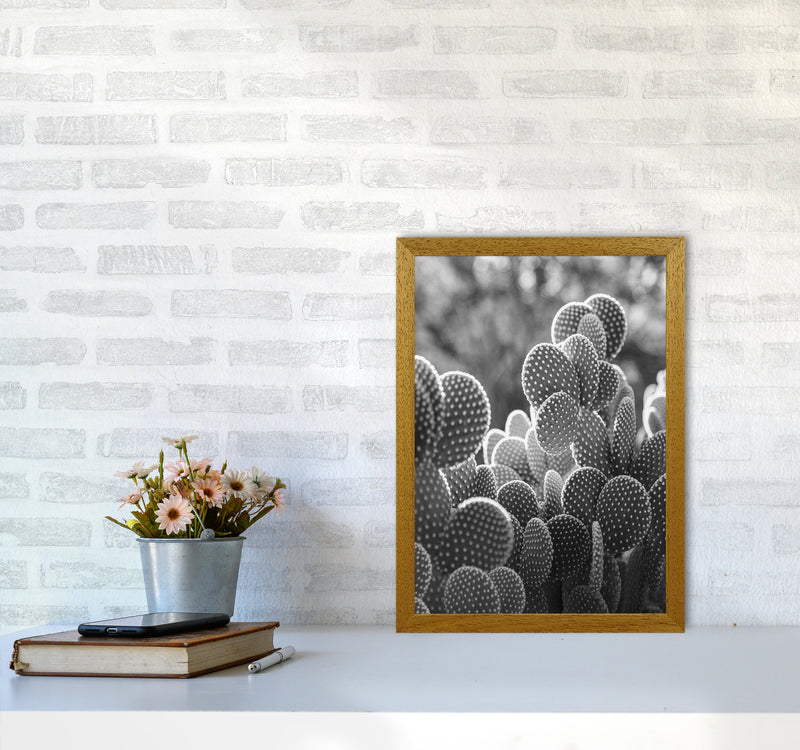 The Cacti Cactus B&W Art Print by Seven Trees Design