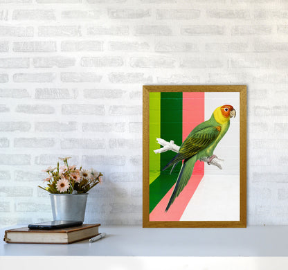 Graffiti Bird Art Print by Seven Trees Design A3 Print Only