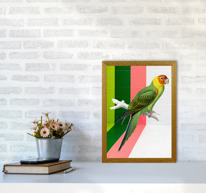 Graffiti Bird Art Print by Seven Trees Design A3 Print Only