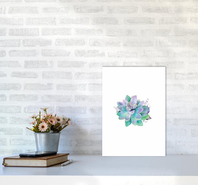 Aqua Succulent Botanical Art Print by Seven Trees Design A3 Black Frame
