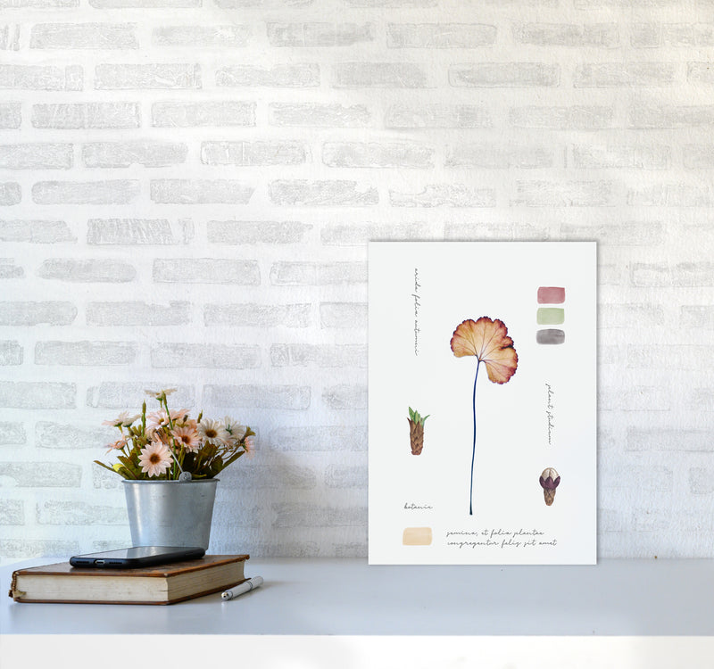 Botanic Notes Art Print by Seven Trees Design A3 Black Frame