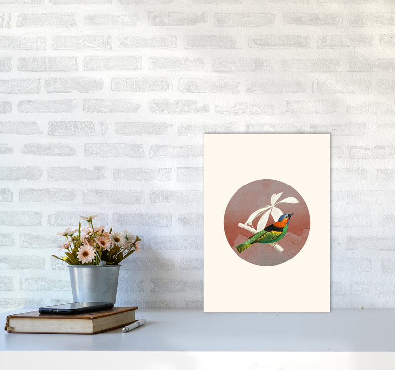 Bird Collage II Art Print by Seven Trees Design A3 Black Frame