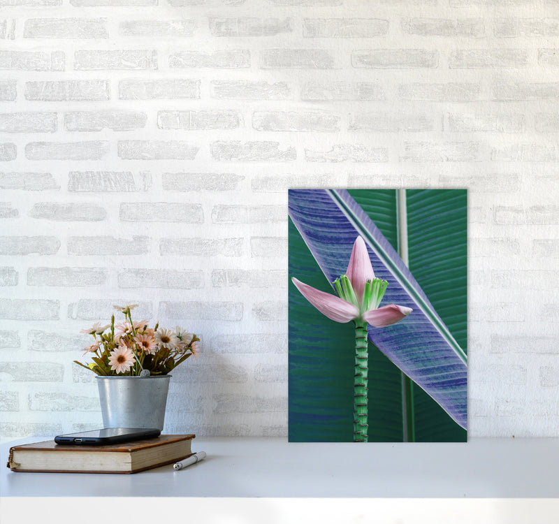 The Banana Flower Art Print by Seven Trees Design A3 Black Frame
