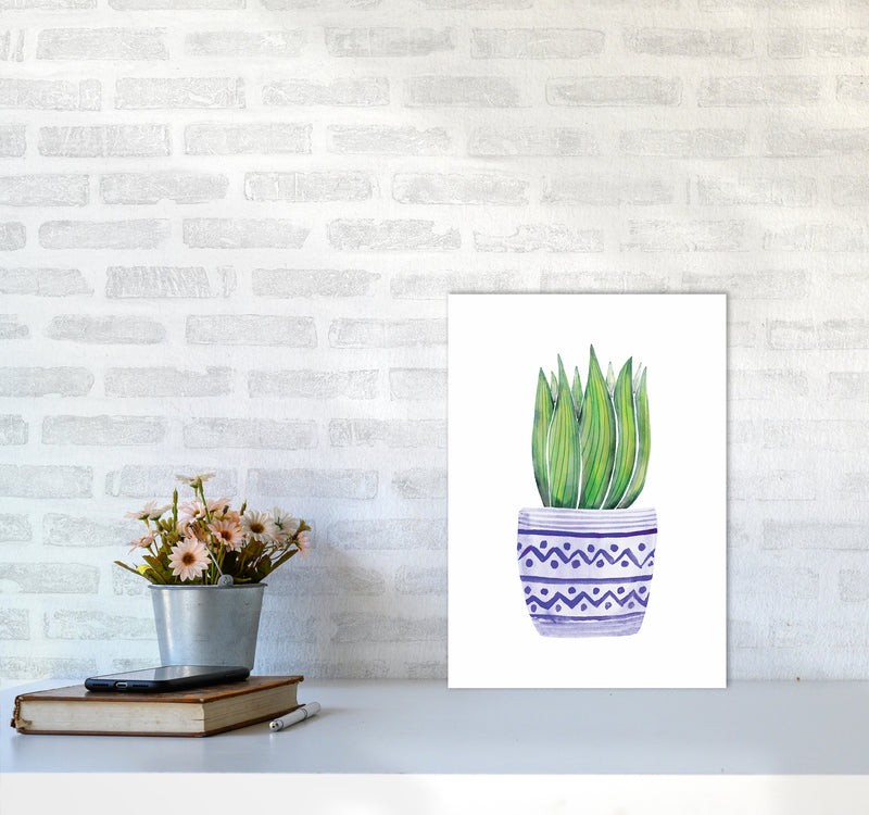The Blue Succulent Art Print by Seven Trees Design A3 Black Frame