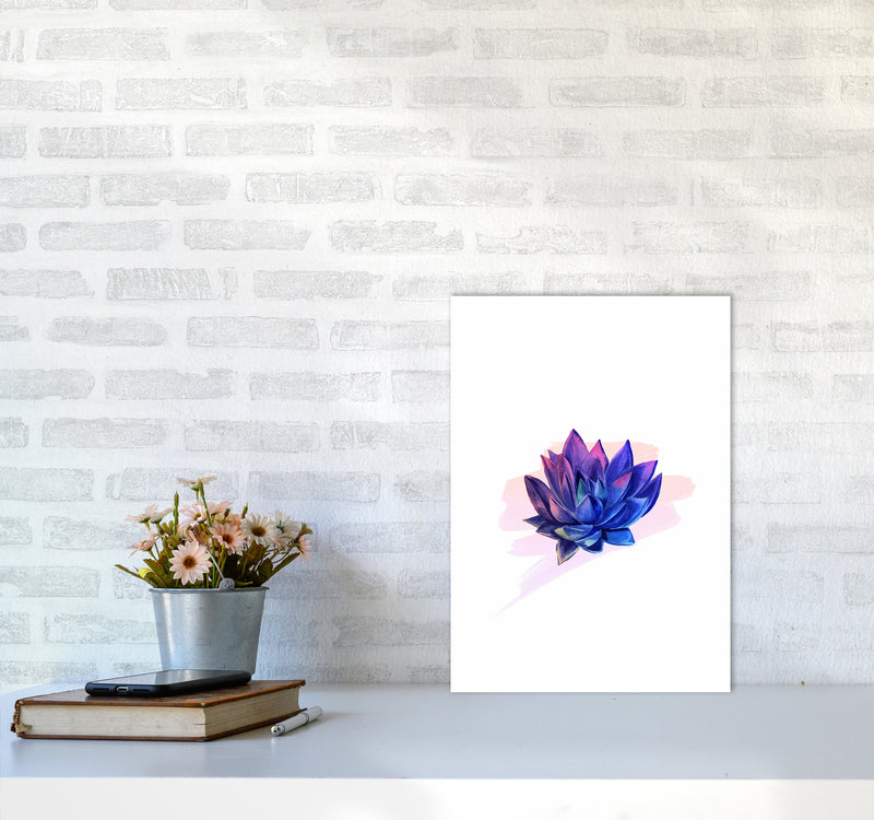 The Modern Succulent Art Print by Seven Trees Design A3 Black Frame