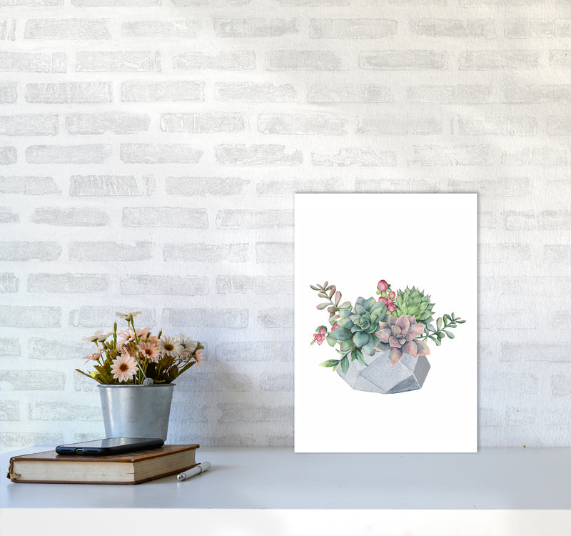 The Watercolor Succulents Art Print by Seven Trees Design A3 Black Frame
