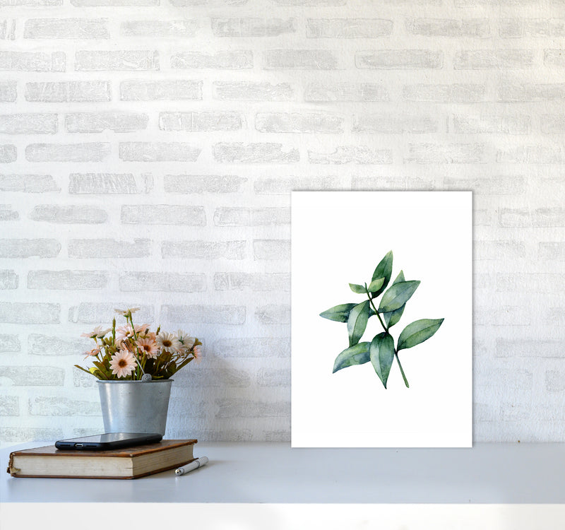 Watercolor Eucalyptus III Art Print by Seven Trees Design A3 Black Frame