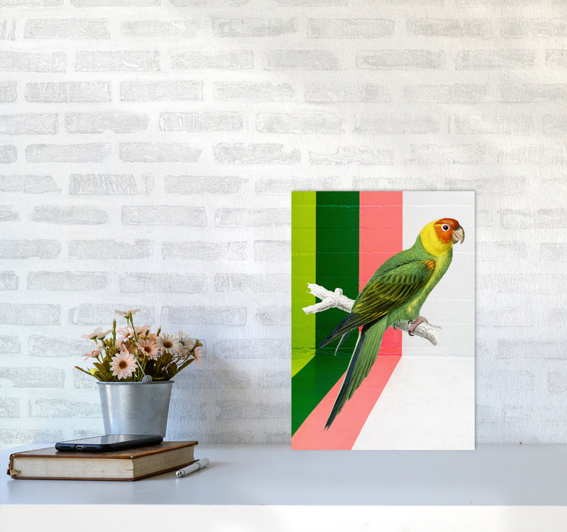 Graffiti Bird Art Print by Seven Trees Design A3 Black Frame