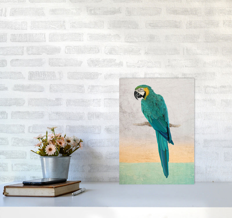 Graffiti Macaw Art Print by Seven Trees Design A3 Black Frame