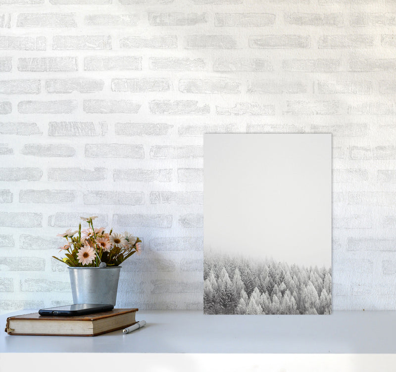 The White Forest Art Print by Seven Trees Design A3 Black Frame