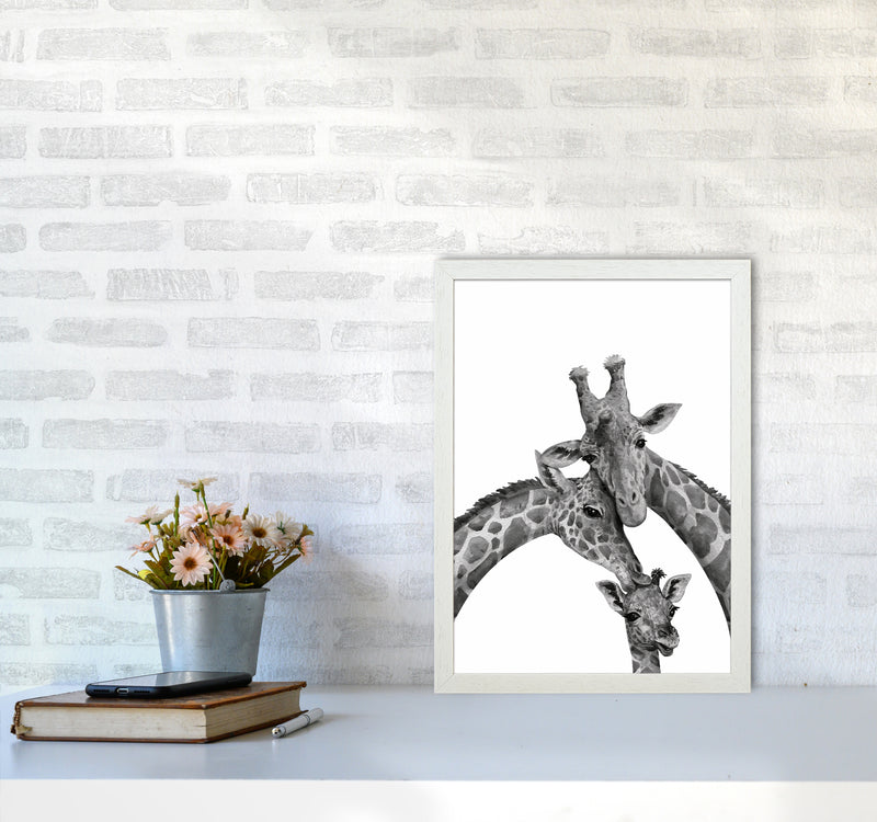 Giraffe Family Photography Art Print by Seven Trees Design A3 Oak Frame