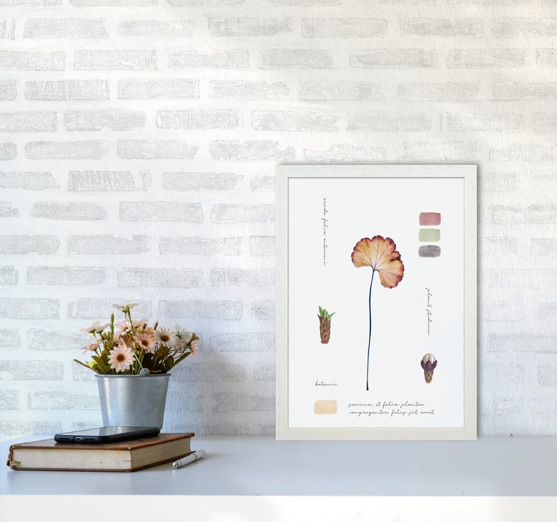 Botanic Notes Art Print by Seven Trees Design A3 Oak Frame