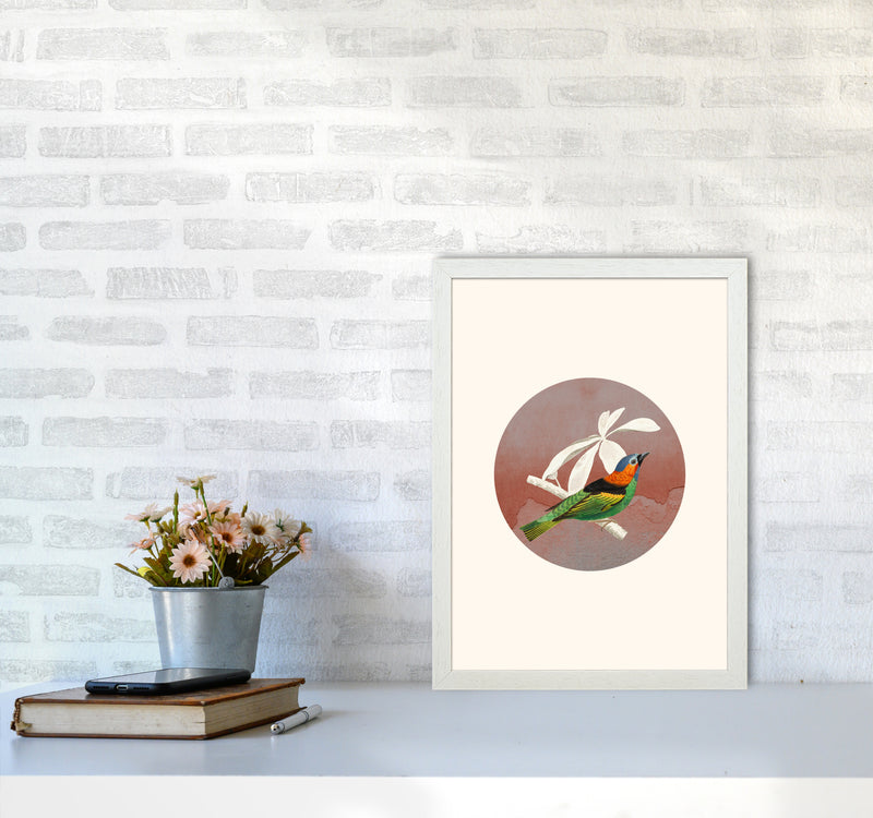 Bird Collage II Art Print by Seven Trees Design A3 Oak Frame