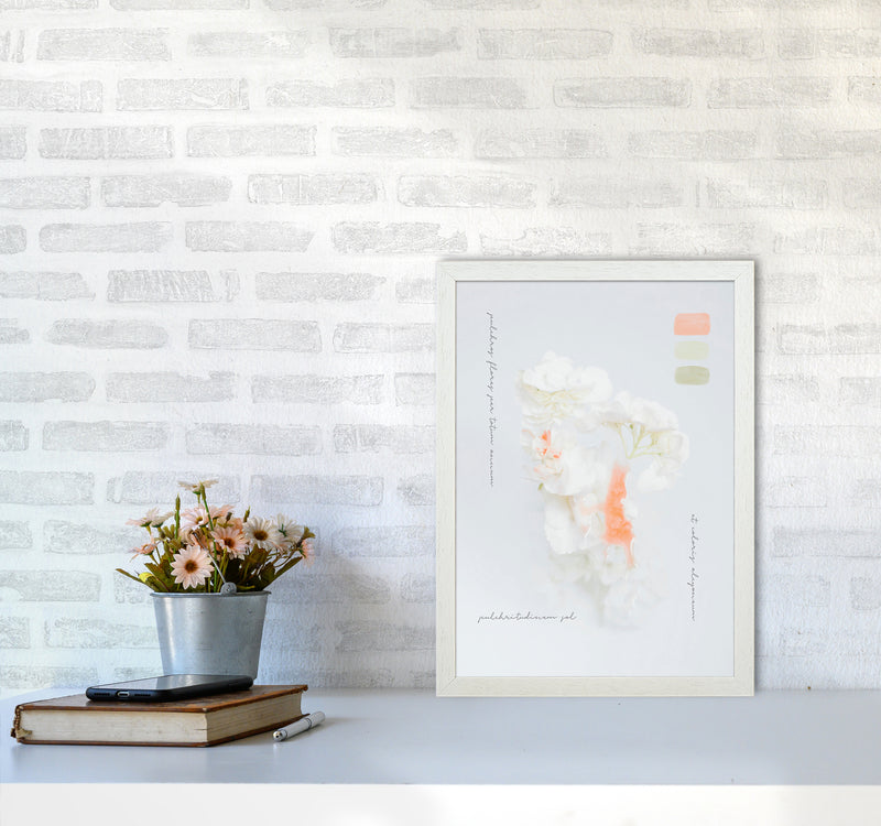 Modern Vintage Botanic Art Print by Seven Trees Design A3 Oak Frame