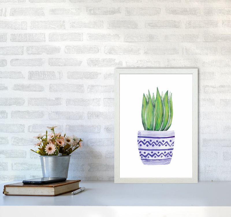 The Blue Succulent Art Print by Seven Trees Design A3 Oak Frame