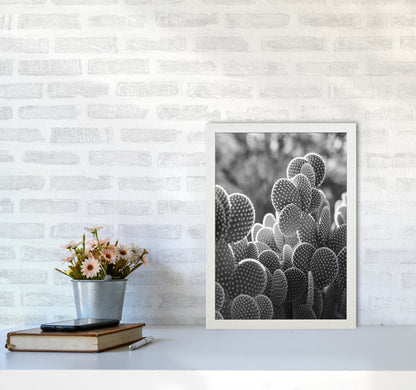The Cacti Cactus B&W Art Print by Seven Trees Design
