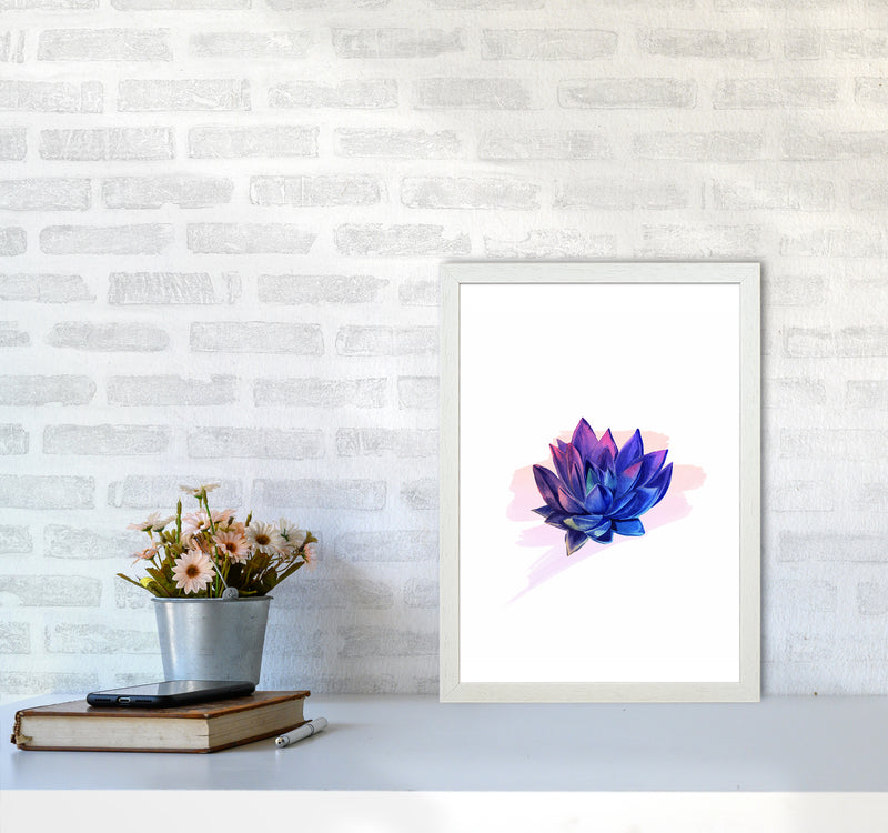 The Modern Succulent Art Print by Seven Trees Design A3 Oak Frame