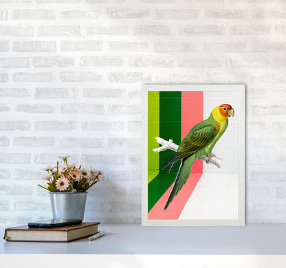 Graffiti Bird Art Print by Seven Trees Design A3 Oak Frame