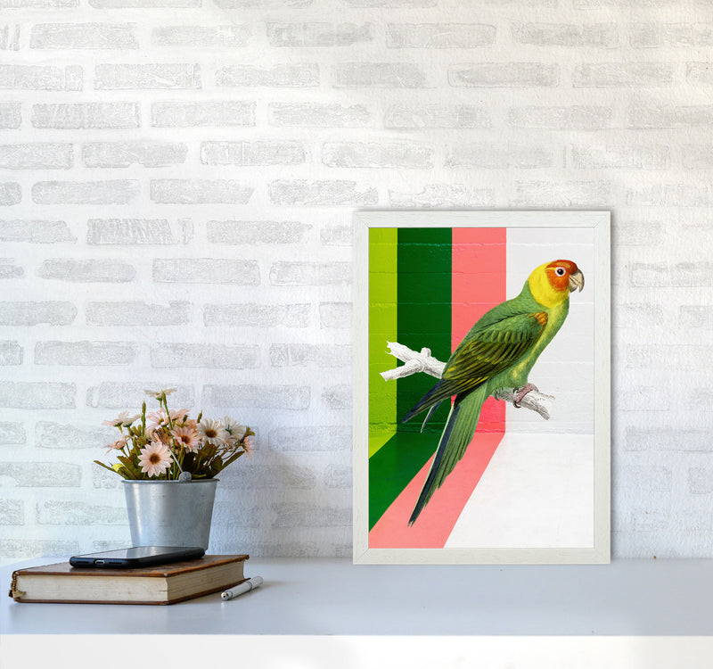Graffiti Bird Art Print by Seven Trees Design A3 Oak Frame