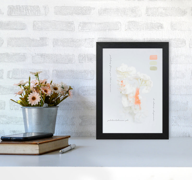 Modern Vintage Botanic Art Print by Seven Trees Design A4 White Frame