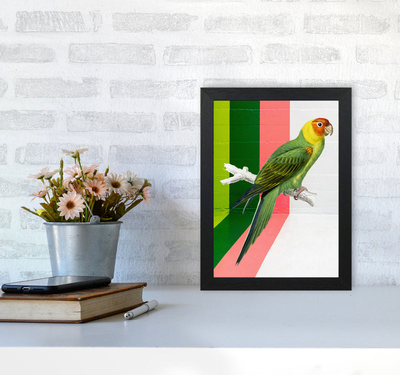 Graffiti Bird Art Print by Seven Trees Design A4 White Frame