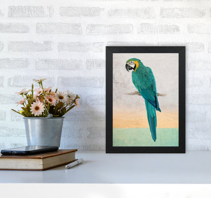 Graffiti Macaw Art Print by Seven Trees Design A4 White Frame