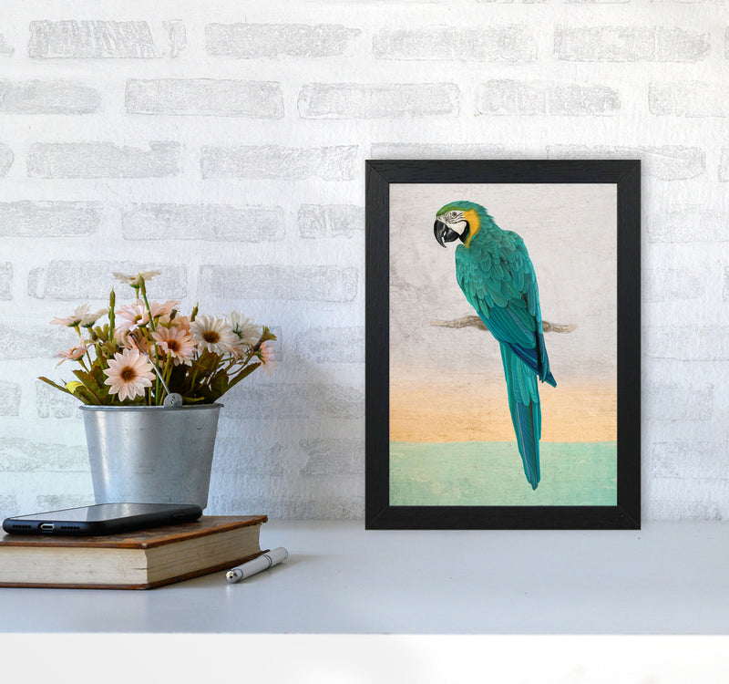 Graffiti Macaw Art Print by Seven Trees Design A4 White Frame