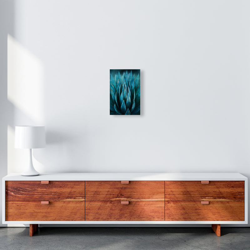 Blue Succulent Art Print by Seven Trees Design A4 Canvas