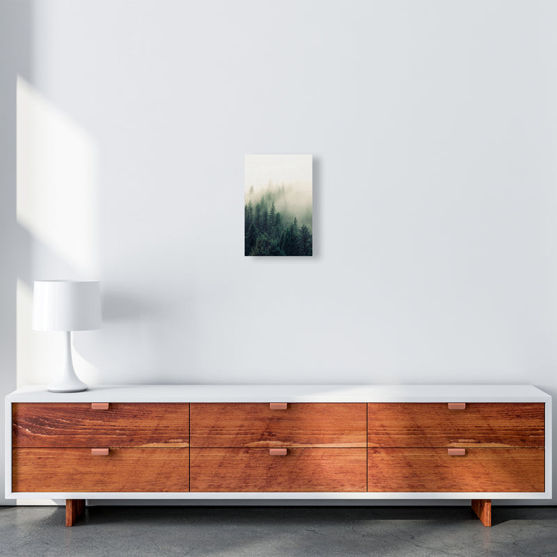 The Fog And The Forest II Photography Art Print by Seven Trees Design A4 Canvas