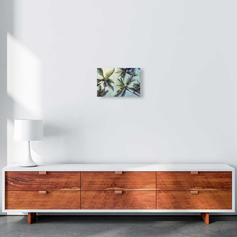 The Palms Photography Art Print by Seven Trees Design A4 Canvas