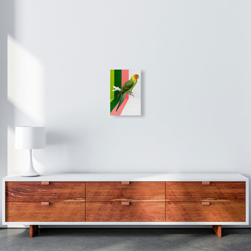 Graffiti Bird Art Print by Seven Trees Design A4 Canvas