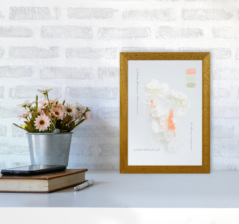 Modern Vintage Botanic Art Print by Seven Trees Design A4 Print Only