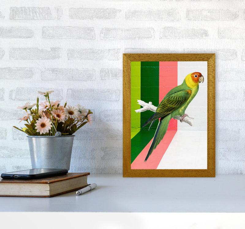 Graffiti Bird Art Print by Seven Trees Design A4 Print Only