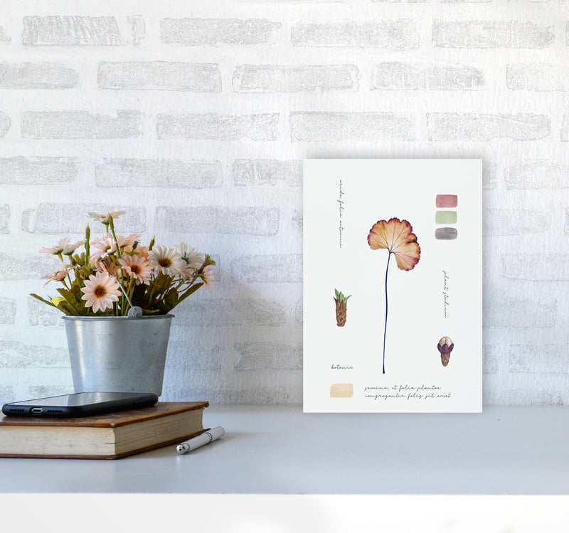 Botanic Notes Art Print by Seven Trees Design A4 Black Frame