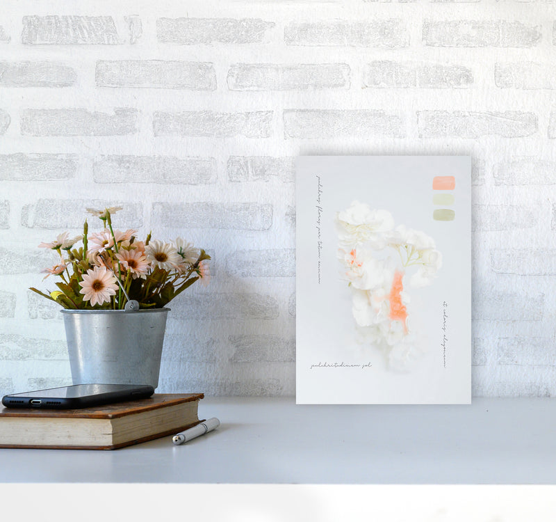 Modern Vintage Botanic Art Print by Seven Trees Design A4 Black Frame