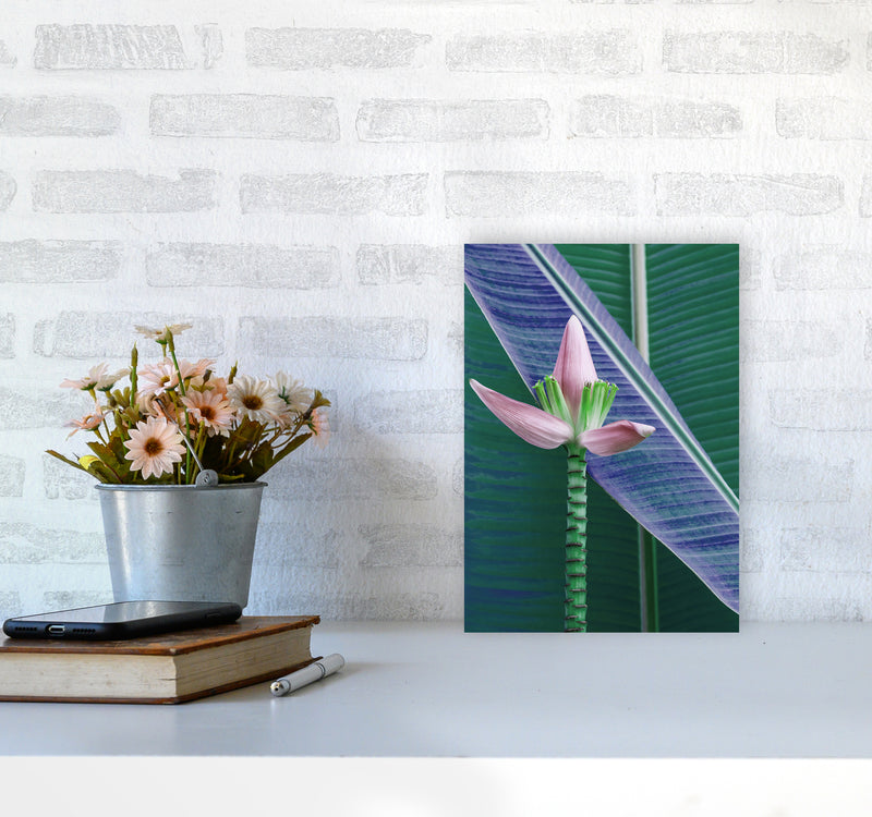 The Banana Flower Art Print by Seven Trees Design A4 Black Frame